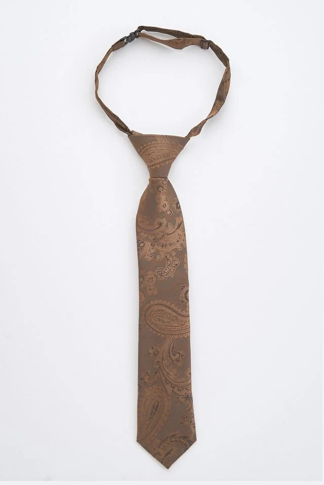 Junior Brown Paisley Tie